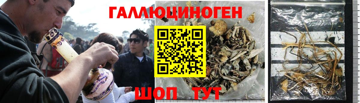 Псилоцибиновые грибы GOLDEN TEACHER Люберцы