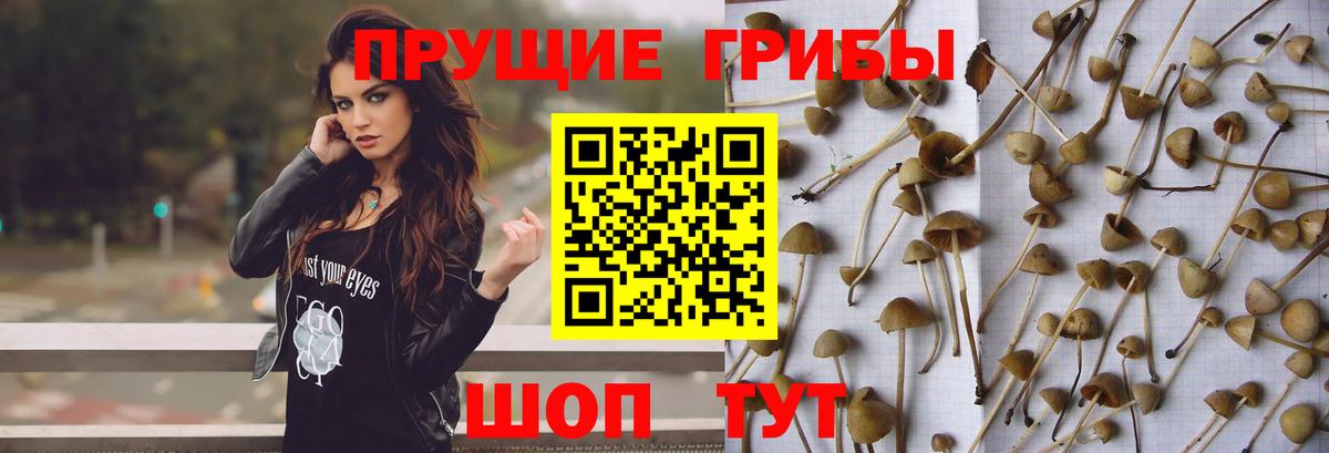 Люберцы  Псилоцибиновые грибы мухоморы  сколько стоит  Галлюциногенные грибы Psilocybe  Вход с VPN 